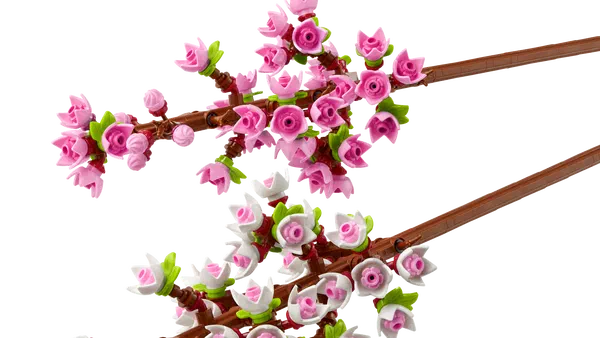 Vignette de Cherry Blossoms