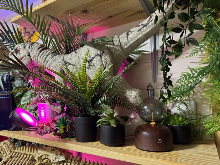 Un diffuseur d'huiles essentielles en bois sur une étagère entourée de plantes vertes et d'un modèle de dinosaure.