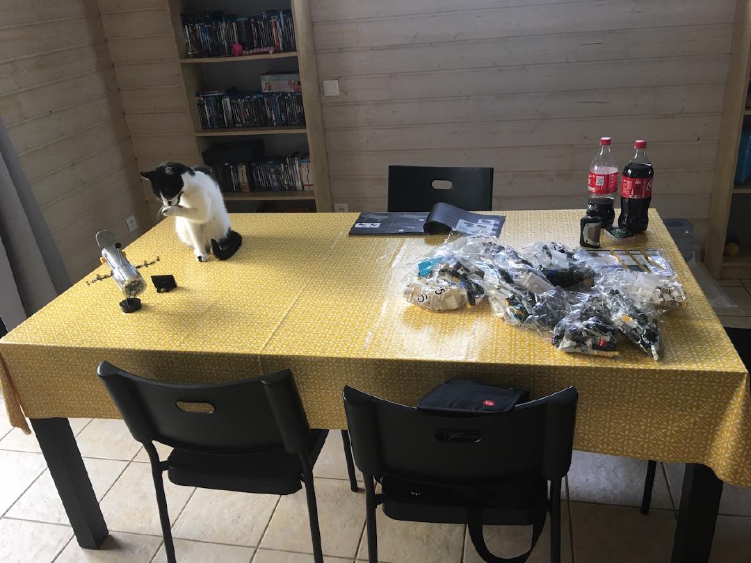 Cette fois, je travaille sur la table, sous bonne surveillance... iCO1Lg