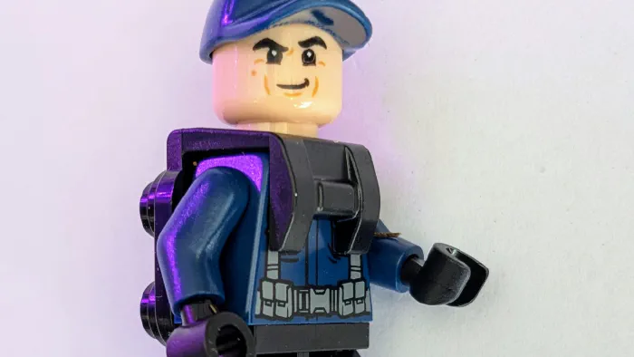 Image de couverture pour Guard and Raptor