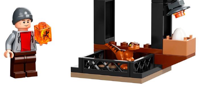 Image de couverture pour Dinosaur Market