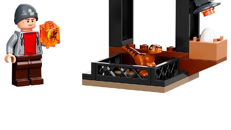 Image de couverture pour Dinosaur Market