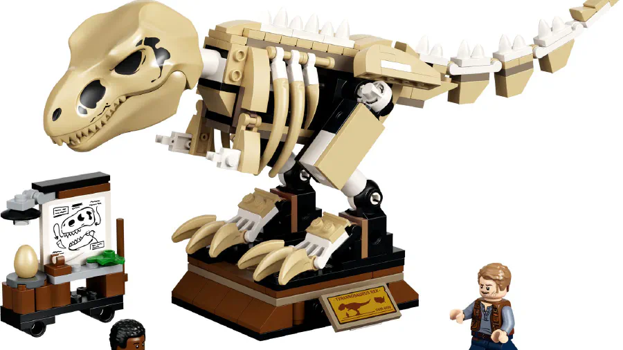 Image de couverture pour T. rex Dinosaur Fossil Exhibition