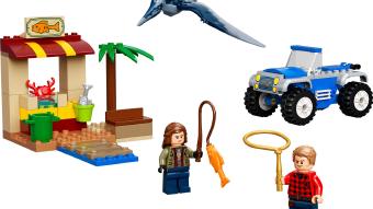 Image de couverture pour Pteranodon Chase