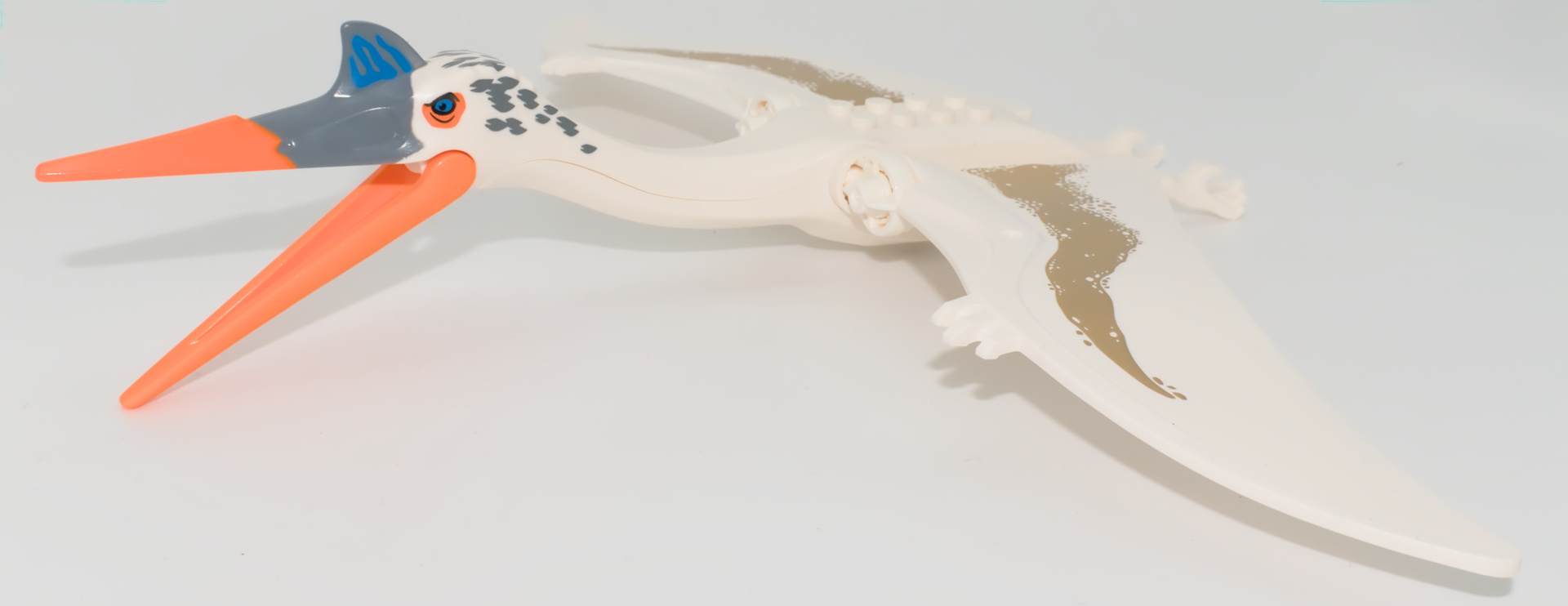 Le bec et les ailes du Quetz sont articulés - © Richard Dern uzAarH