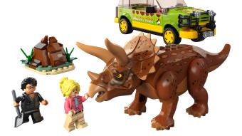 Image de couverture pour Triceratops Research