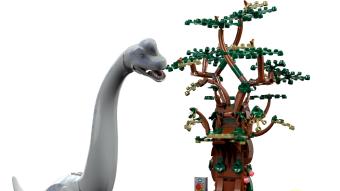 Image de couverture pour Brachiosaurus Discovery