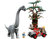 Brachiosaurus Discovery