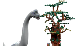 Image de couverture pour Brachiosaurus Discovery