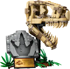 Image complémentaire : 129065.jpg