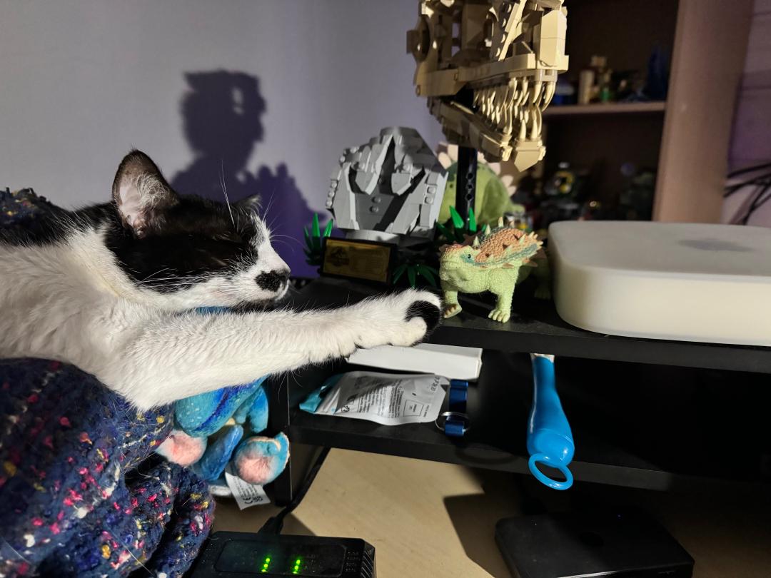 Polka aussi aime les dinosaures ! BBElQ3