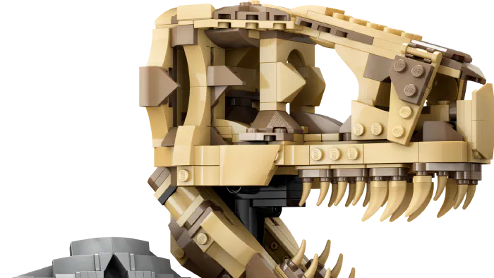 Image de couverture pour Dinosaur Fossils: T. rex Skull