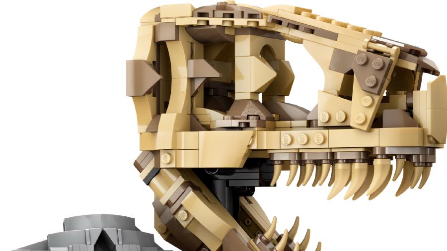 Image de couverture pour Dinosaur Fossils: T. rex Skull