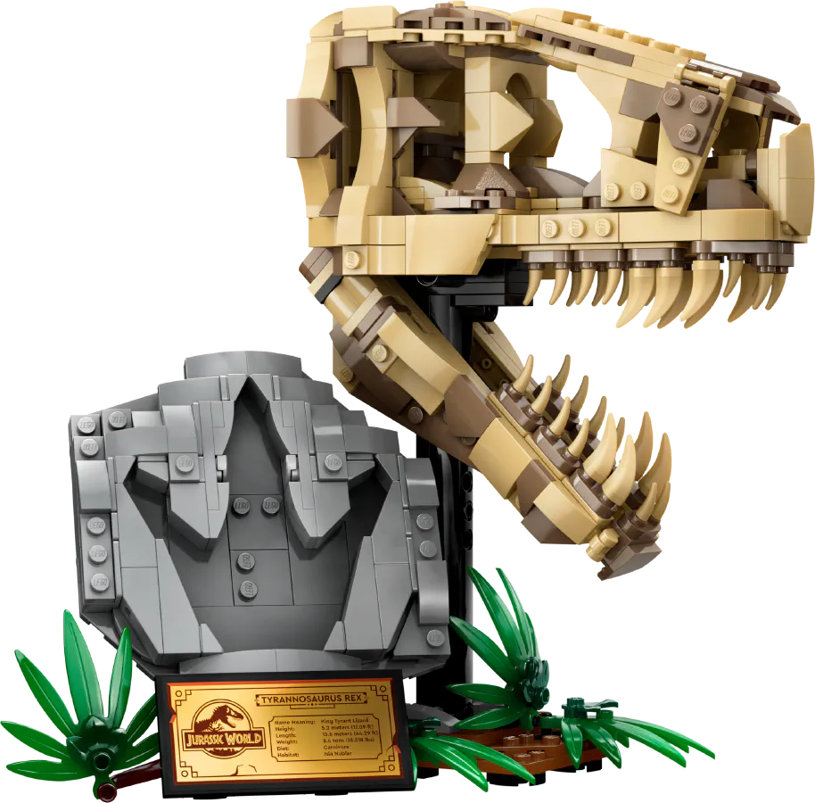 Dinosaur Fossils: T. rex Skull