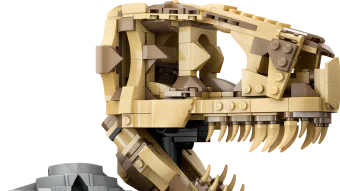 Image de couverture pour Dinosaur Fossils: T. rex Skull