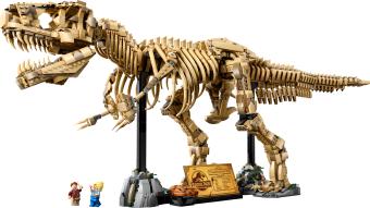 Image de couverture pour Dinosaur Fossils: Tyrannosaurus Rex