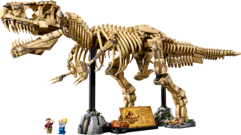 Image de couverture pour Dinosaur Fossils: Tyrannosaurus Rex