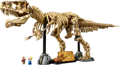 Dinosaur Fossils: Tyrannosaurus Rex