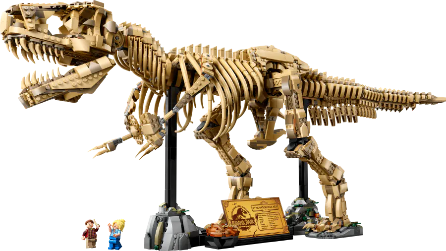 Image de couverture pour Dinosaur Fossils: Tyrannosaurus Rex