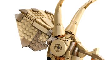 Image de couverture pour Dinosaur Fossils: Triceratops Skull