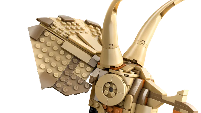 Image de couverture pour Dinosaur Fossils: Triceratops Skull