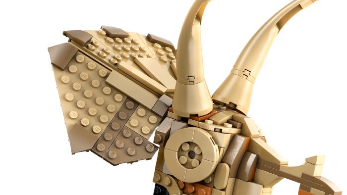 Image de couverture pour Dinosaur Fossils: Triceratops Skull