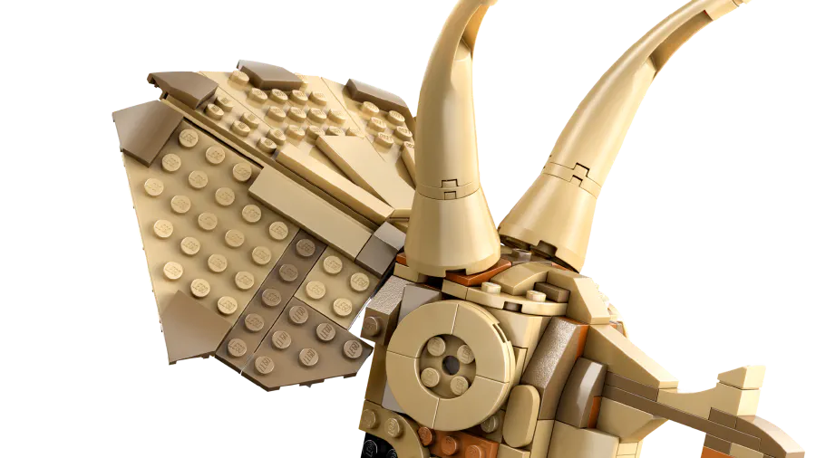 Image de couverture pour Dinosaur Fossils: Triceratops Skull