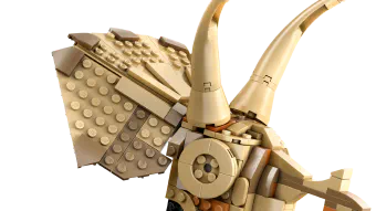 Image de couverture pour Dinosaur Fossils: Triceratops Skull