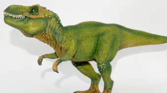 Image de couverture pour Tyrannosaurus rex