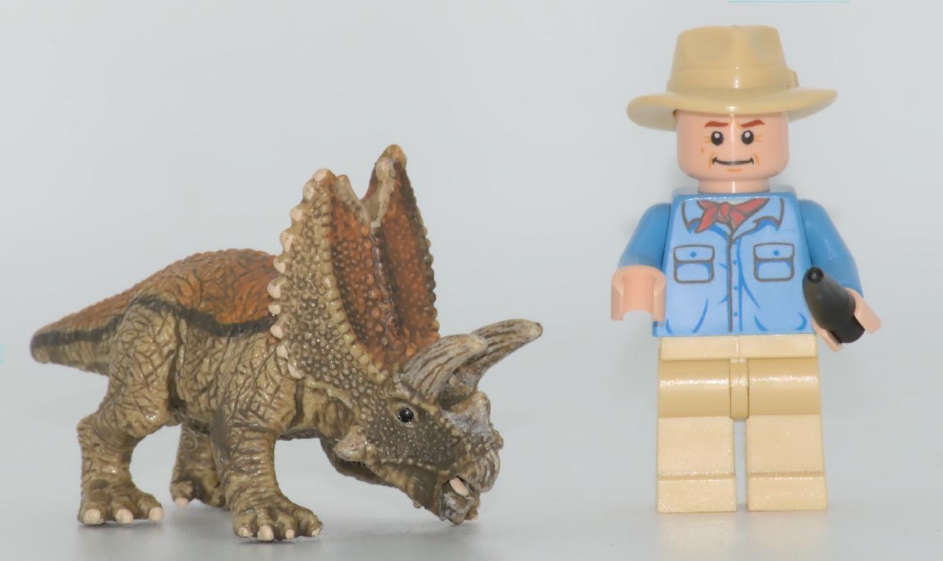 © Richard Dern 49ZZQx