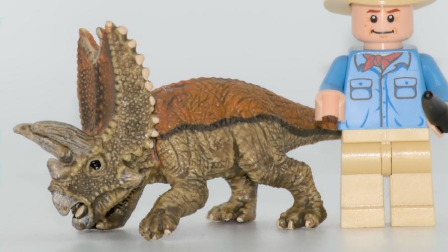 Image de couverture pour Mini Pentaceratops