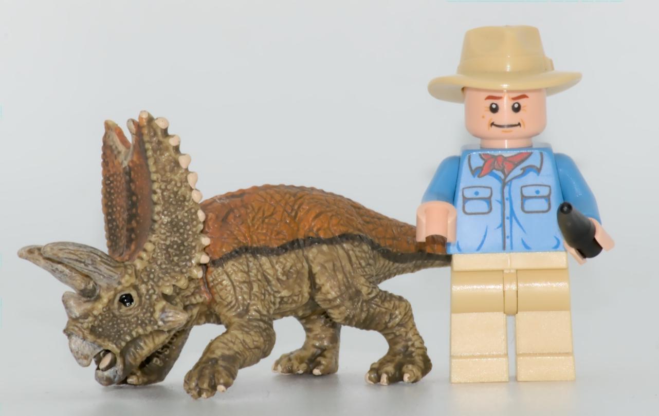 Ce *Pentaceratops* est vraiment trop chou... © Richard Dern Ce *Pentaceratops* est vraiment trop chou... © Richard Dern