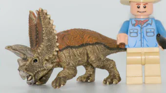 Image de couverture pour Mini Pentaceratops