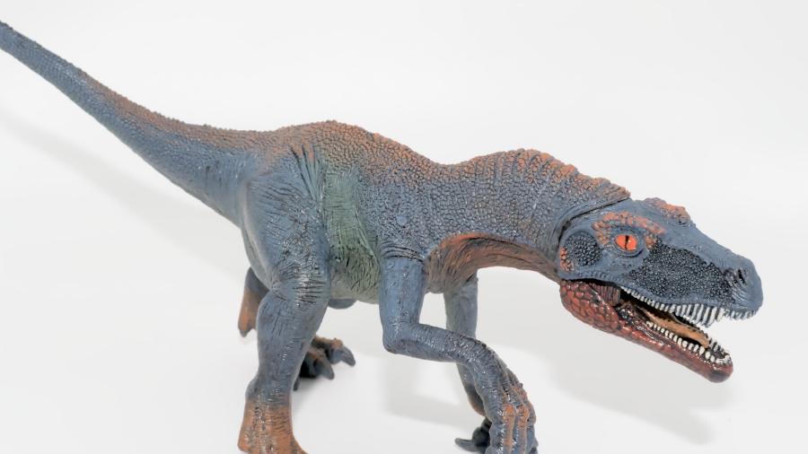 Image de couverture pour Herrerasaurus