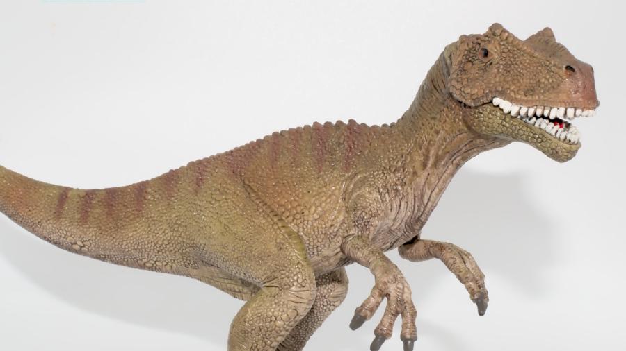 Image de couverture pour Allosaurus