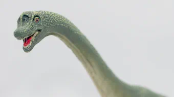 Image de couverture pour Brachiosaurus