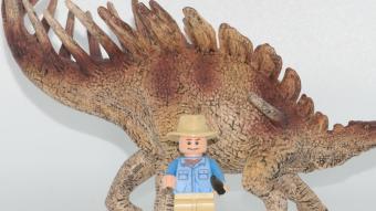 Image de couverture pour Kentrosaurus