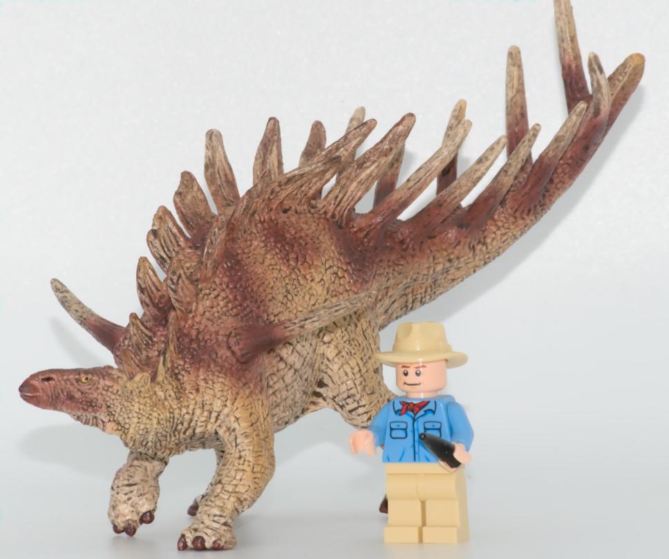 © Richard Dern LSQyHb