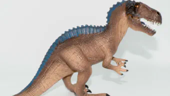 Image de couverture pour Acrocanthosaurus