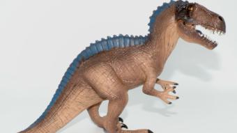 Image de couverture pour Acrocanthosaurus