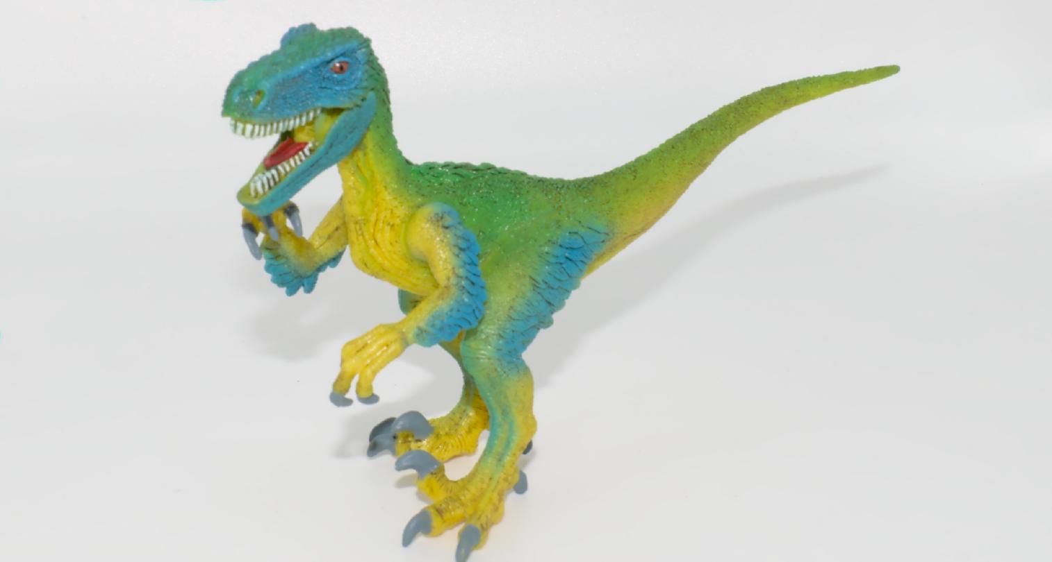 © Richard Dern © Richard Dern