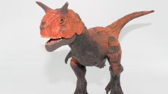 Image de couverture pour Carnotaurus