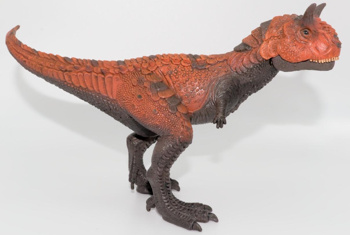 © Richard Dern SBhuv1