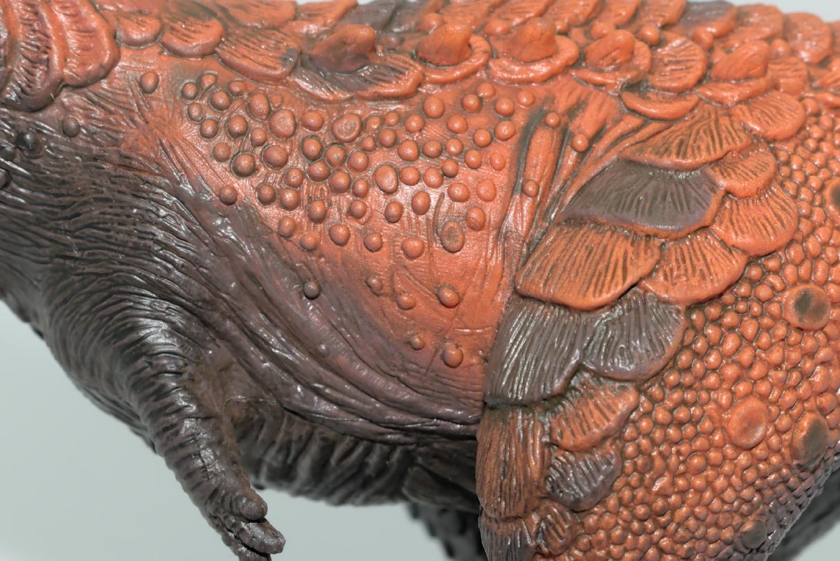 © Richard Dern pqMGpo