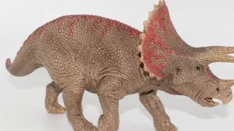 Image de couverture pour Triceratops