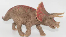 Triceratops