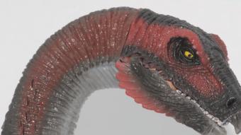 Image de couverture pour Therizinosaurus