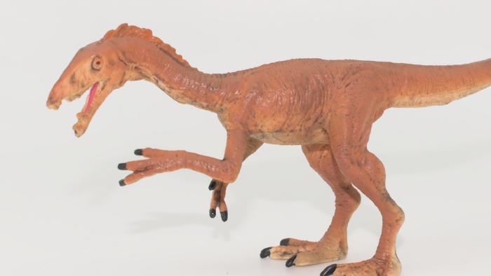 Image de couverture pour Tawa