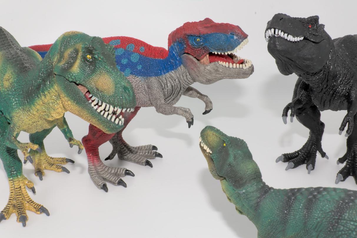 La famille T. rex presqu'au complet ! © Richard Dern 7ACsed