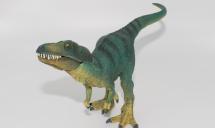 Jeune Tyrannosaurus rex
